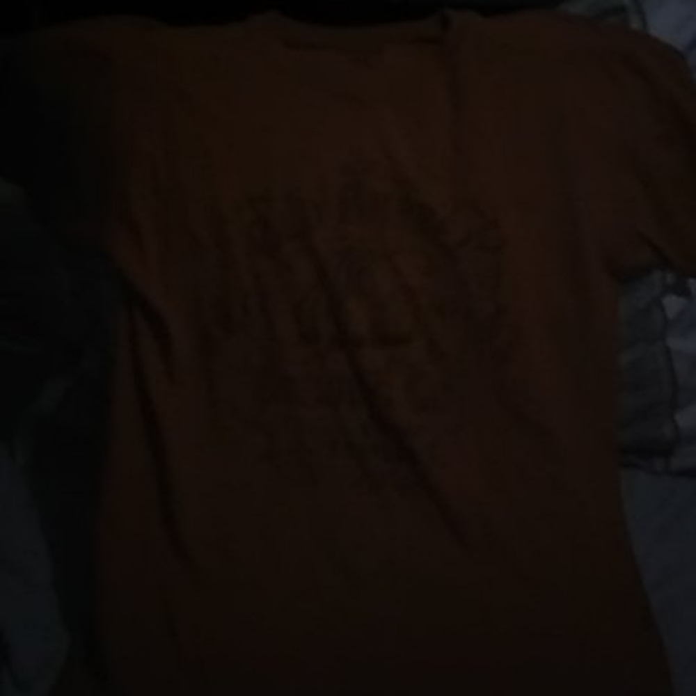 Hanes Mens Graphic Tee